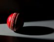 Ranji Highlights