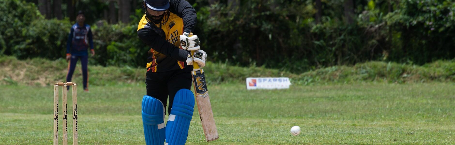 Sanju Samson performance